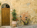Bicycle Next to Flowers and Door