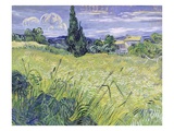 Landscape with Green Corn