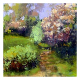 Spring Field