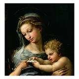 Detail of The Virgin of the Rose