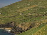 Farmhouses on Hill at Coast
