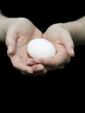 Handful of Egg