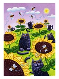 Black Cats Watching Honeybees on Sunflowers