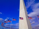 Flags Surrounding the Washington Monument