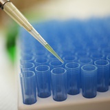 Test Tube Experiment