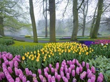 Spring Flowers in Flower Garden