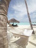 Hammock on the beach