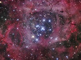 Rosette Nebula