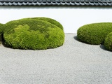 Japanese zen garden