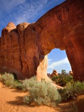 Pine Tree Arch in Arches National Park
