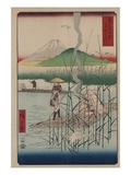 Sagami River