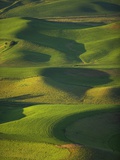 Green Hills