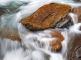 Stream in Great Smoky Mountains National Park