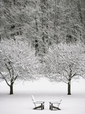 Snow covered landscape