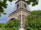 Eiffel Tower and Trees