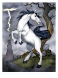 Unicorn
