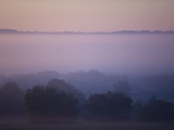 Early Morning Mist