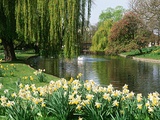 Regents park london
