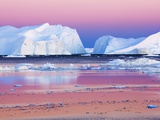 Icebergs in Disko Bay