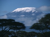 Kilimanjaro and Acacia Trees