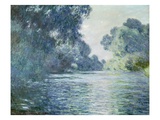 Branch of the Seine near Giverny