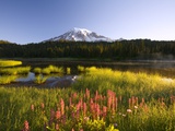 Mount Rainier National Park