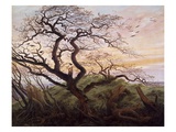 The Tree of Crows