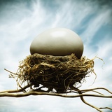 Oversized egg in tiny nest