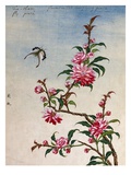 18th-Century Chinese Watercolor of Pink Flowers