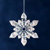 Christmas Ornament