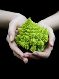 Handful of Romanesco