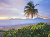 Pinney's Beach  Island of Nevis