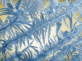 Frost on Glass