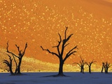 Dead Trees in Dead Vlei