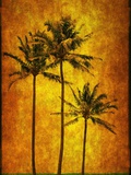 Three Palms