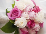 Bouquet of Roses