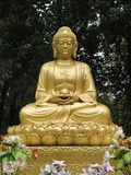 Dacien Buddhist Temple  Xian  China
