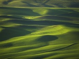 Hilly Landscape