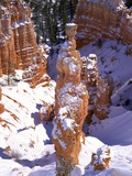 Thor's Hammer Hoodoo in Bryce Canyon National Park