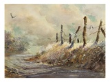 Posts in Sunshine