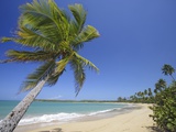 Tres Palmitas Beach