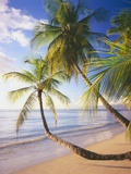 Pigeon Point Beach  Island of Tobago