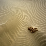 Rock Eroding in Desert Sand