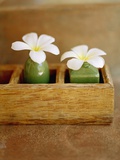 Small Flower Vases