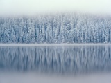 Lost Lake and Snow-Covered Douglas Firs