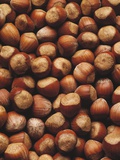 Hazelnuts in Shells