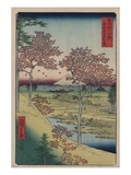 Sunset Hill  Meguro in the Eastern Capital