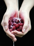 Handful of Raspberries