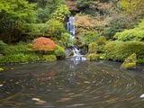 Swirling Pond Below Waterfall