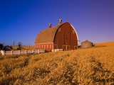 Wheat Field and Barn at Sunrise
